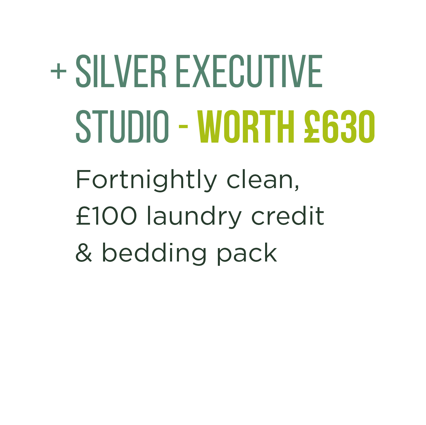 Silver Executive Studio