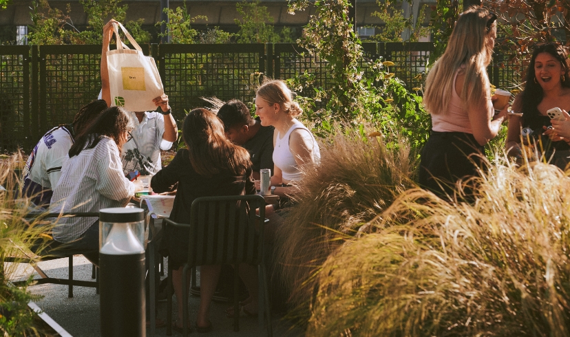 SHARED GARDENS & TERRACES
